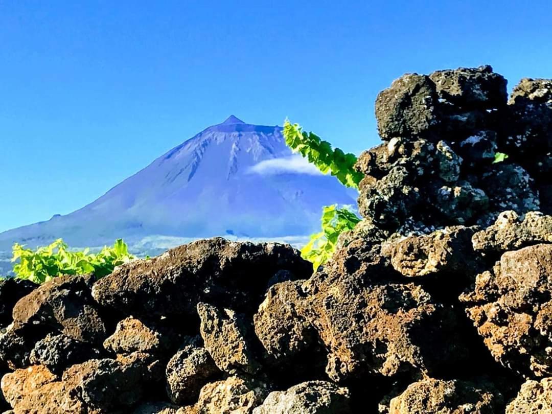 Baco'S Vineyard Villa Lajido Eksteriør bilde