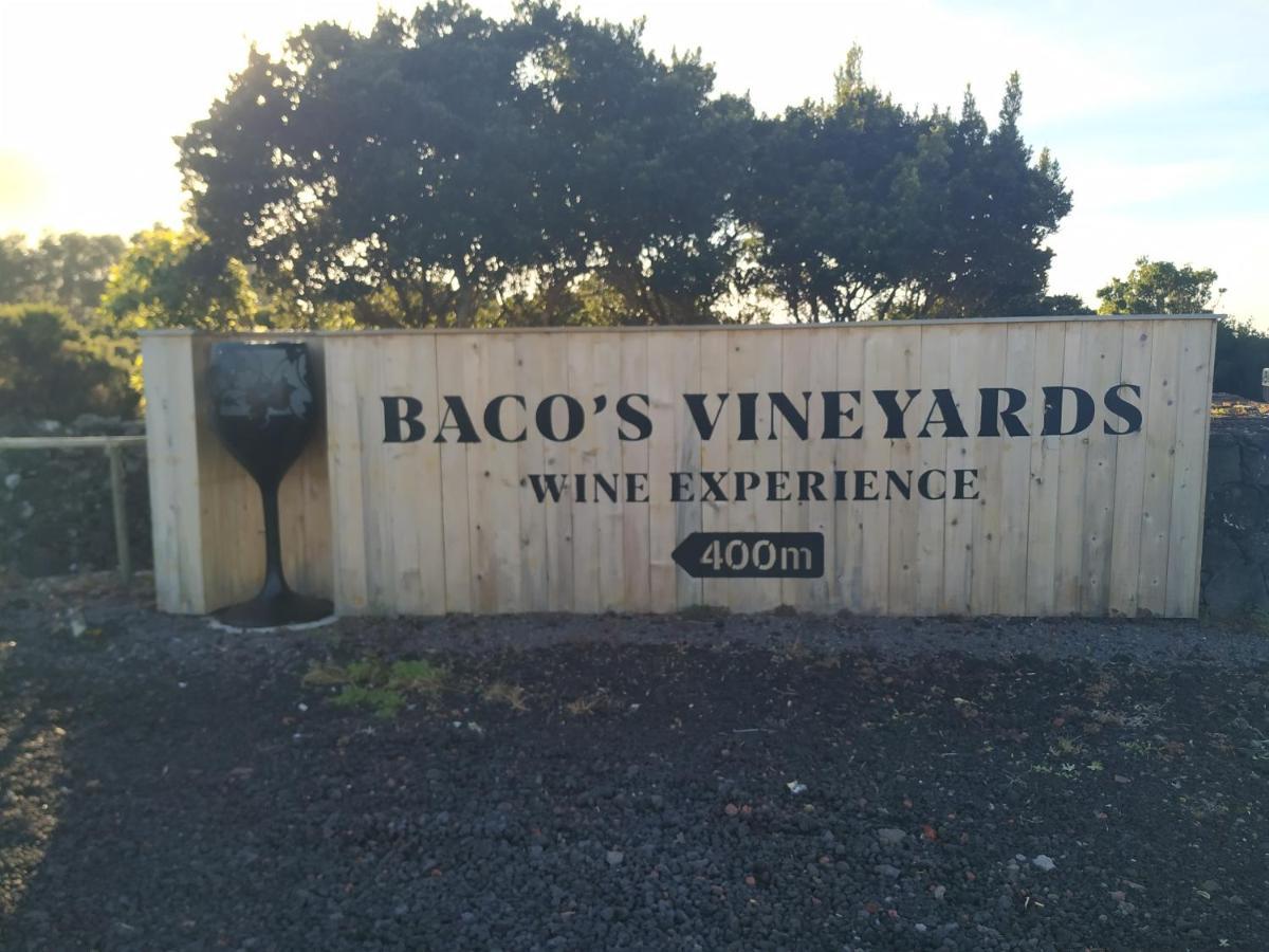 Baco'S Vineyard Villa Lajido Eksteriør bilde