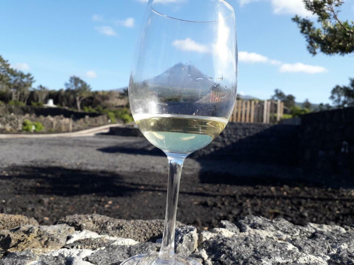 Baco'S Vineyard Villa Lajido Eksteriør bilde